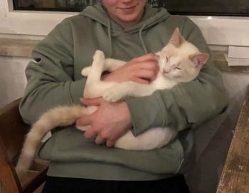 Finbar Bild von Finbar