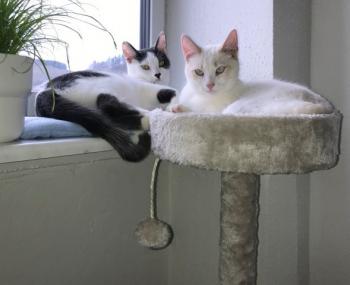 Finbar Bild von Finbar