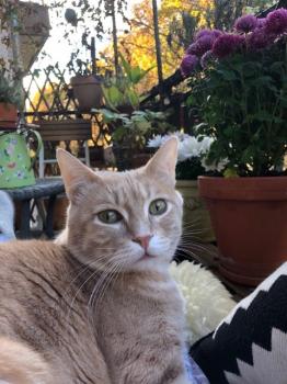 Yuki Bild von Yuki