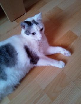 Desirée Bild von Desirée
