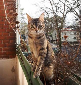 Babsy Bild von Babsy