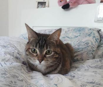 Babsy Bild von Babsy