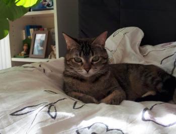 Babsy Bild von Babsy