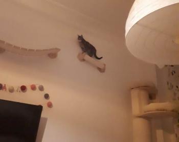 Babsy Bild von Babsy