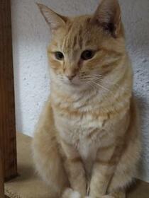 Lolo Bild von Lolo