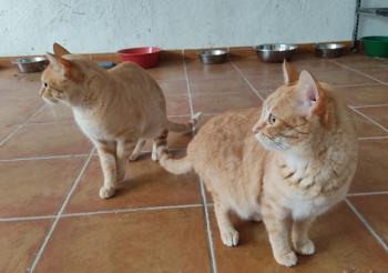 Lola Bild von Lola