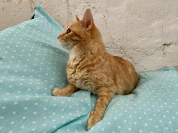 Lola Bild von Lola