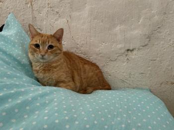 Lola Bild von Lola