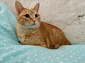 Lola Bild von Lola