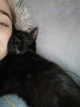 Jade Bild von Jade