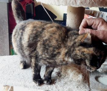 Alaska Bild von Alaska