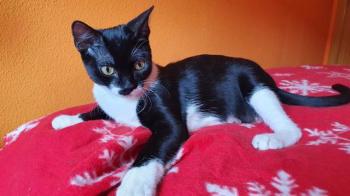 Wanda Bild von Wanda