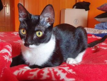 Wanda Bild von Wanda