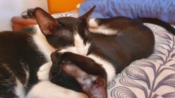 Wanda Bild von Wanda