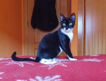 Wanda Bild von Wanda