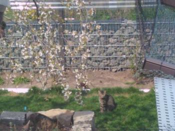 Iso Bild von Iso