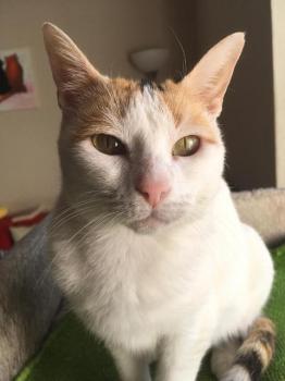 Giulia Bild von Giulia