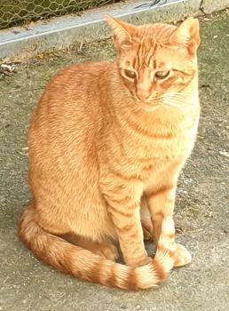 Momo Bild von Momo