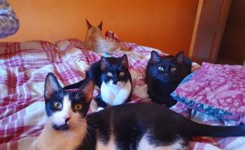 Wanda Bild von Wanda