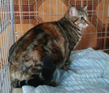 Loreta Bild von Loretta