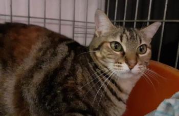 Loreta Bild von Loretta