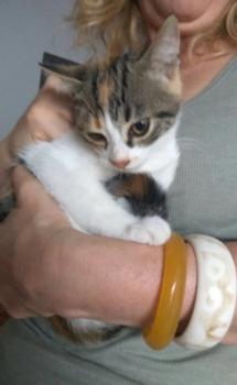 Millie Bild von Millie
