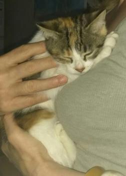Millie Bild von Millie