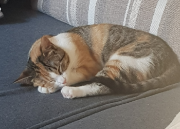 Nancy Bild von Nancy