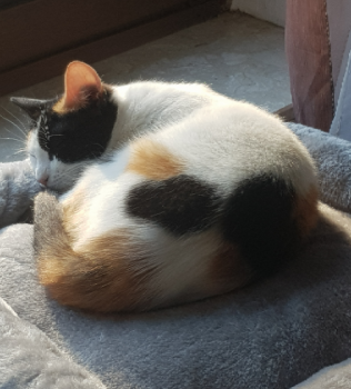 Cyndi Bild von Cyndi