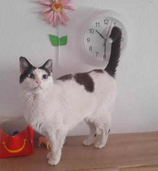 Nia Bild von Nia