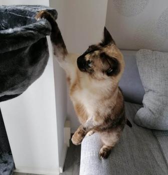Bild von Tati