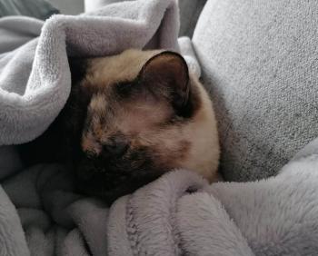 Bild von Tati