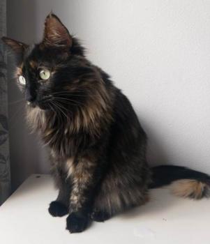 Matilda Bild von Matilda