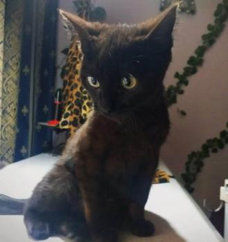 Lola Bild von Lola