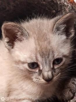 Camilo Bild von Camilo