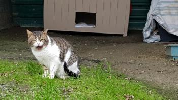 Marlon Bild von Marlon