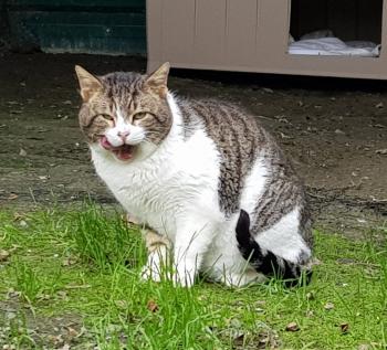 Marlon Bild von Marlon