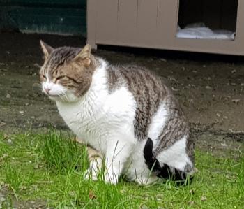 Marlon Bild von Marlon