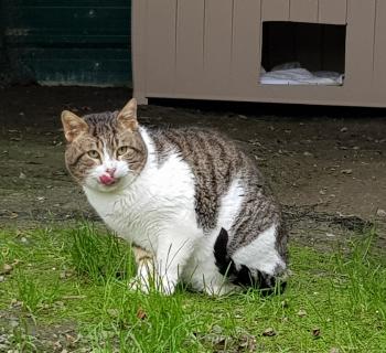 Marlon Bild von Marlon