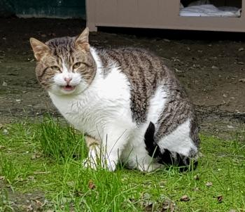 Marlon Bild von Marlon