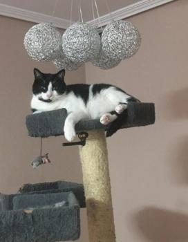 Nikito Bild von Nikito