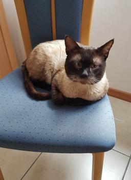 Cooper Bild von Cooper