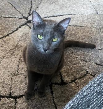 Clyde Bild von Clyde