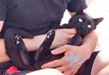 Blacky Bild von Blacky