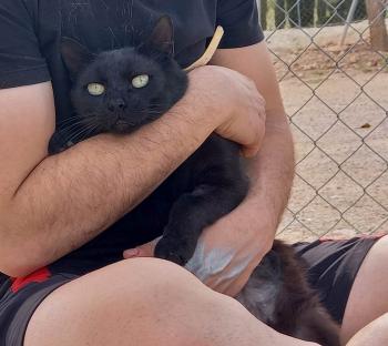 Blacky Bild von Blacky