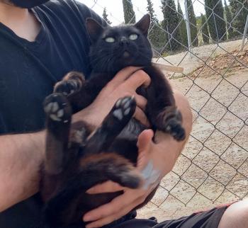 Blacky Bild von Blacky