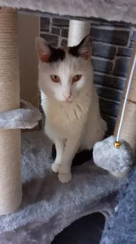 Carla Bild von Carla