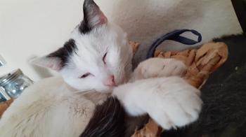Carla Bild von Carla