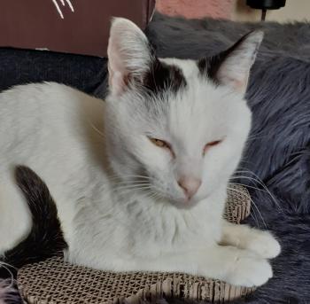 Carla Bild von Carla