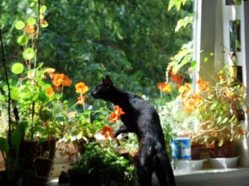 Esqueleto Bild von Esqueleto